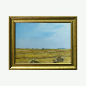 Desert